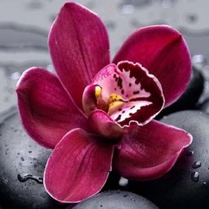 Meet your Posher, Natalia